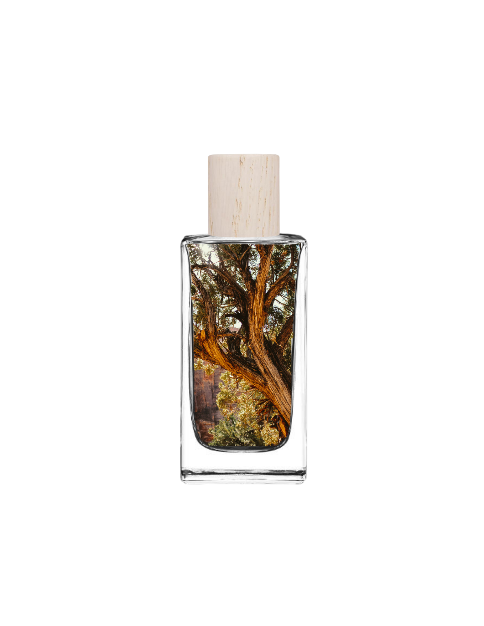 Frío Woods - Eau de Parfum (EDP)