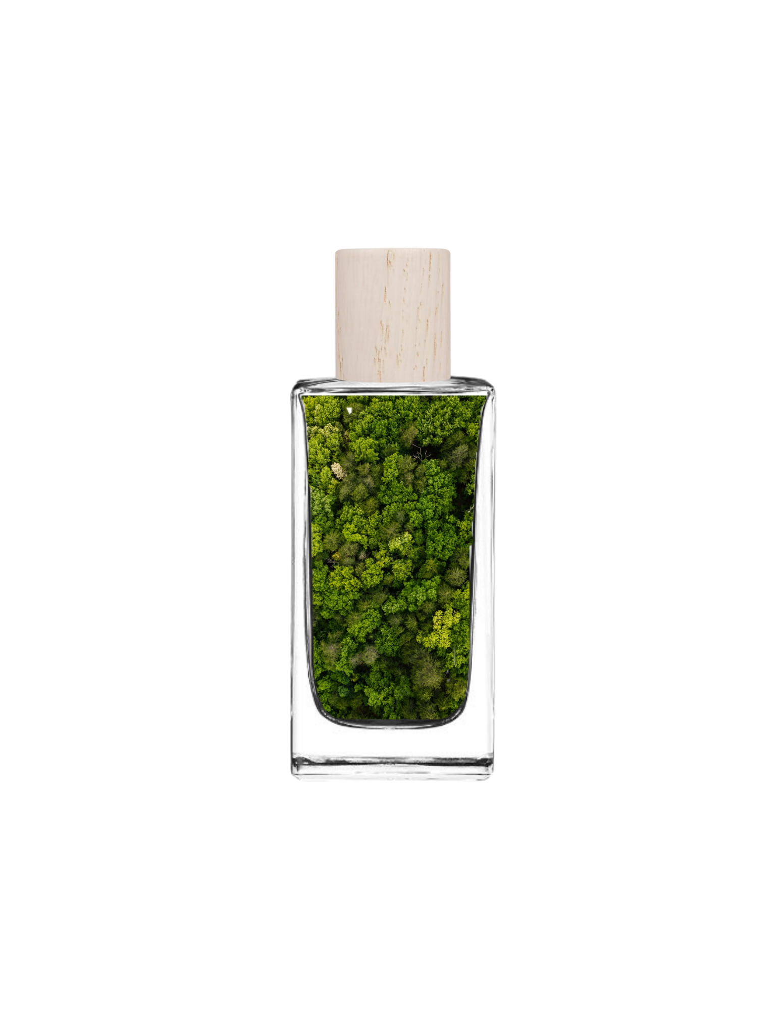 Frío Hills - Eau de Parfum (EDP)